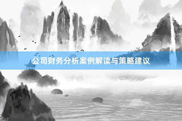 公司财务分析案例解读与策略建议