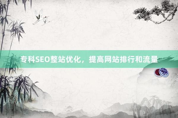 专科SEO整站优化，提高网站排行和流量