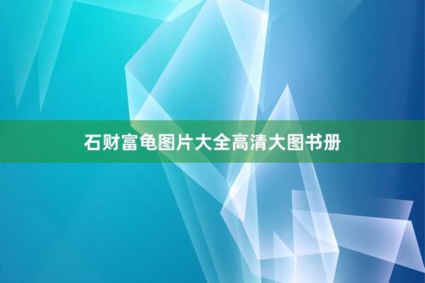 石财富龟图片大全高清大图书册